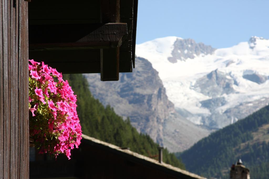 Residence Les Coupoles Champoluc Room photo